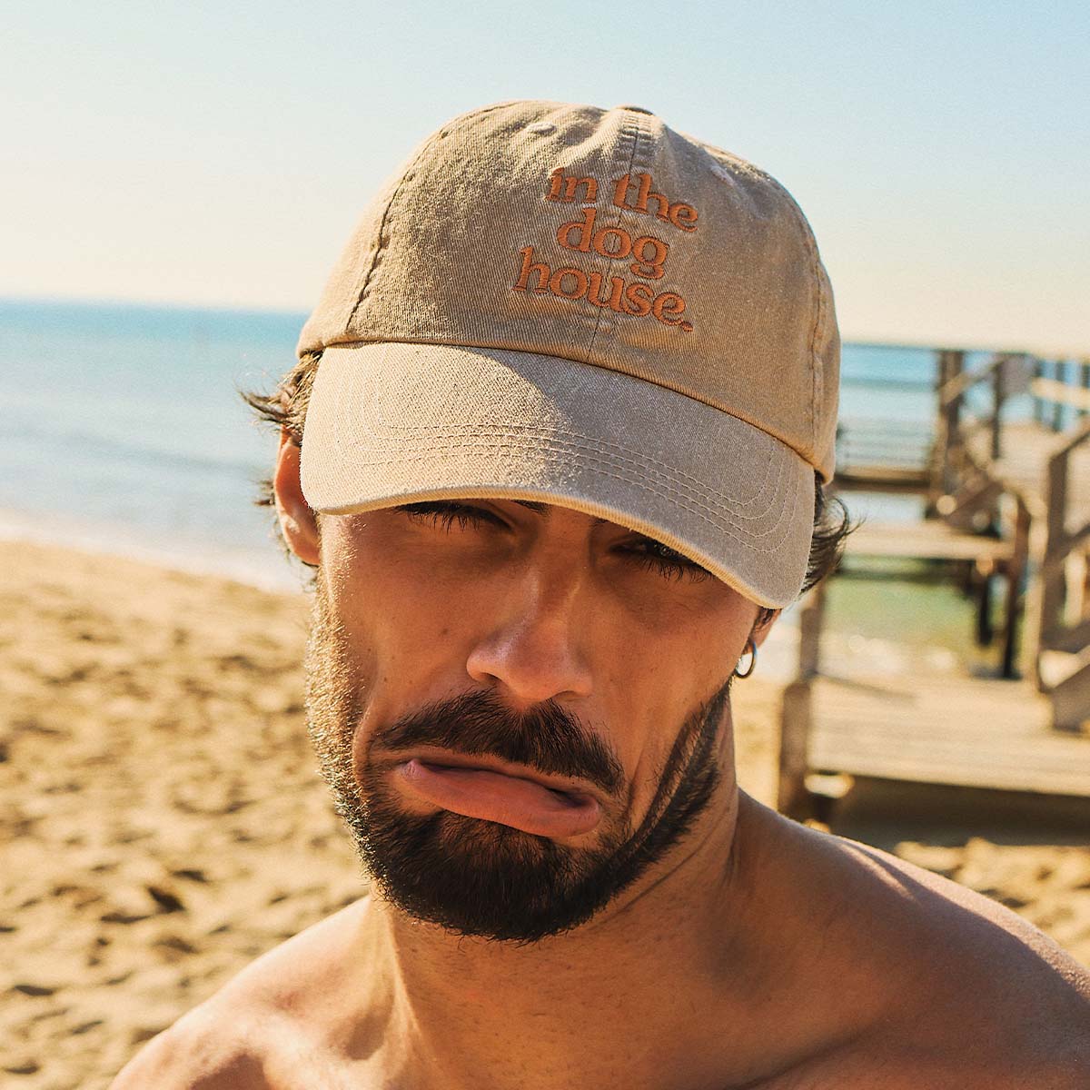 Dog House Cotton Cap in Brown