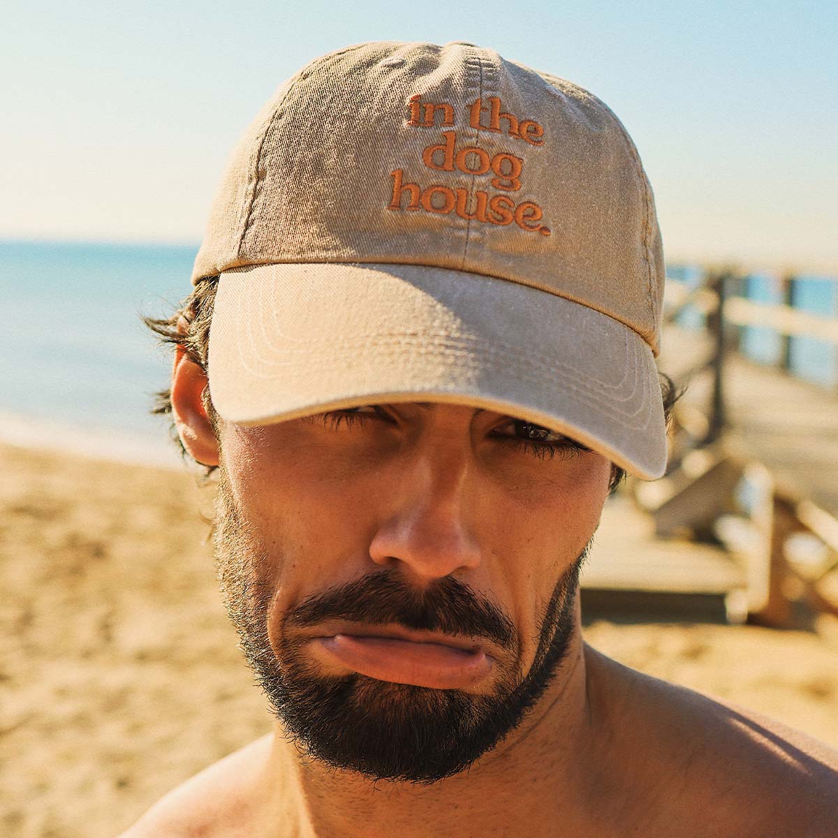 Dog House Cotton Cap in Brown