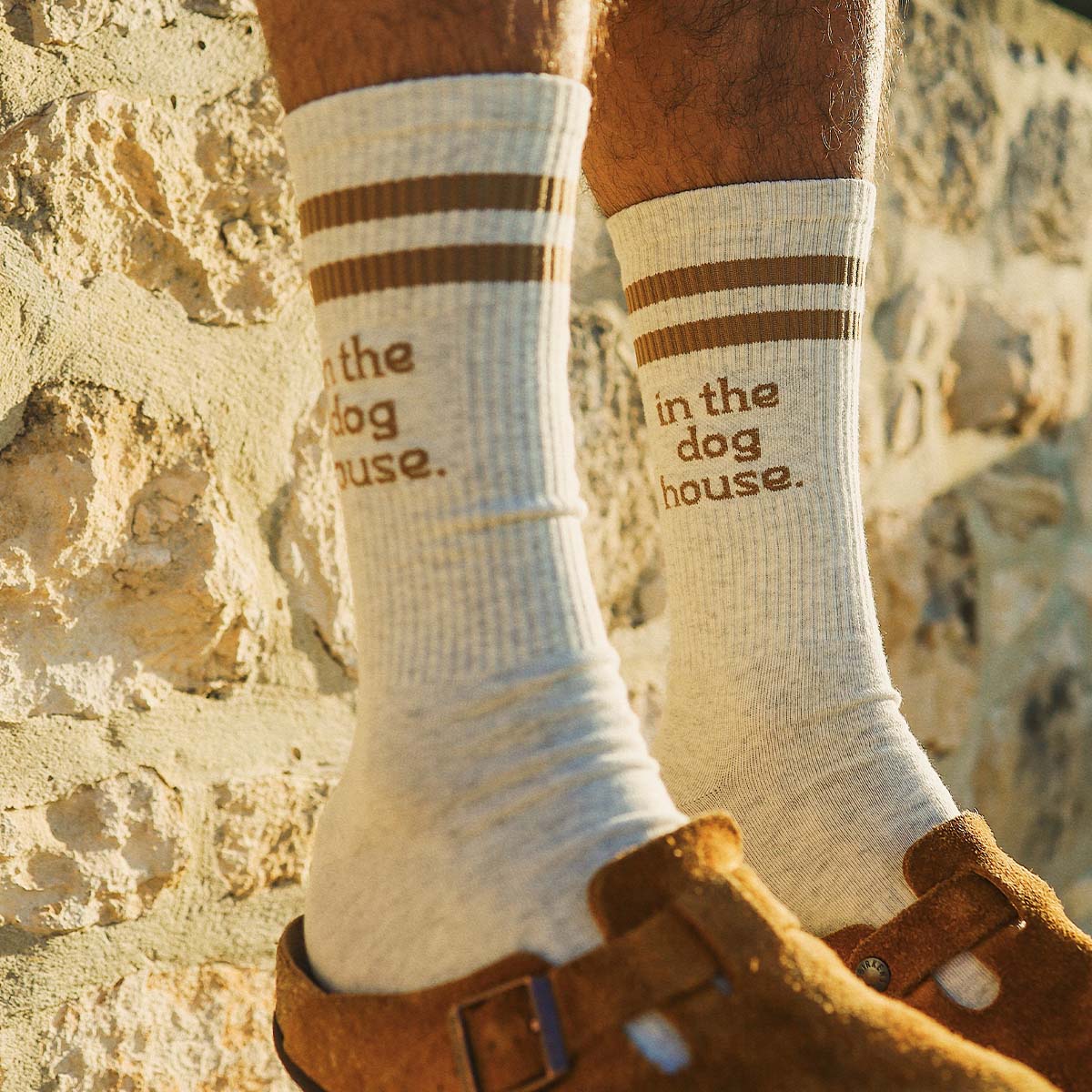 Dog House Socks in Brown Stripe