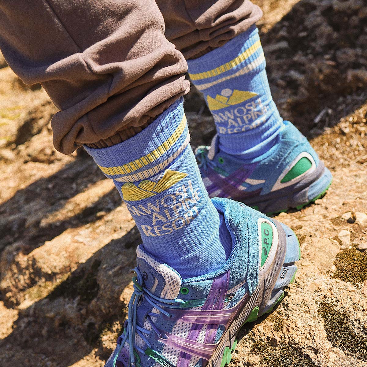 Skwosh Alpine Resort Socks in Nautical Blue