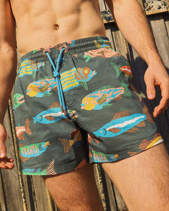 Here Fishy Fishy Men's Rad Shorts in Charcoal