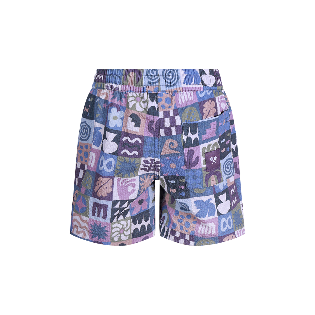 Island Oracle Boys Seersucker Everyday Shorts in Multi