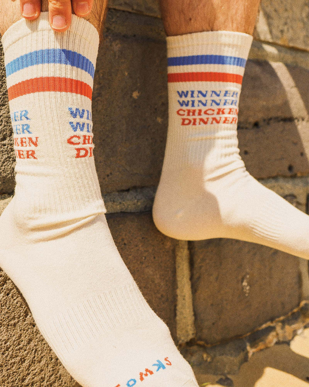 Chicken Dinner Socks in Multi Stripe