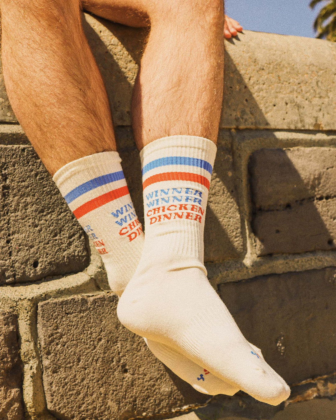 Chicken Dinner Socks in Multi Stripe