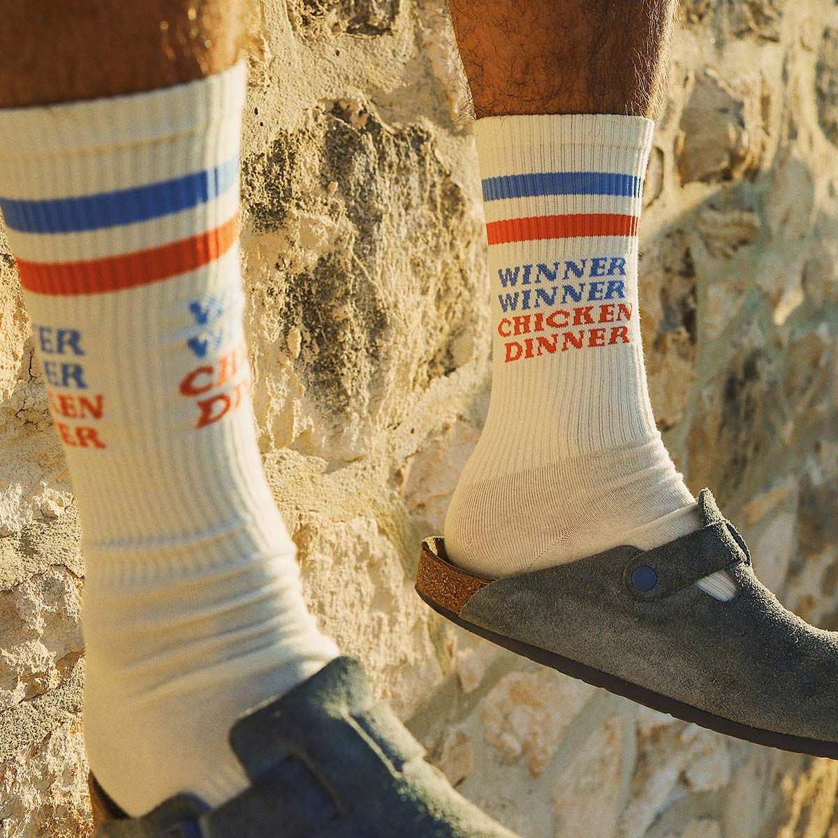 Chicken Dinner Socks in Multi Stripe