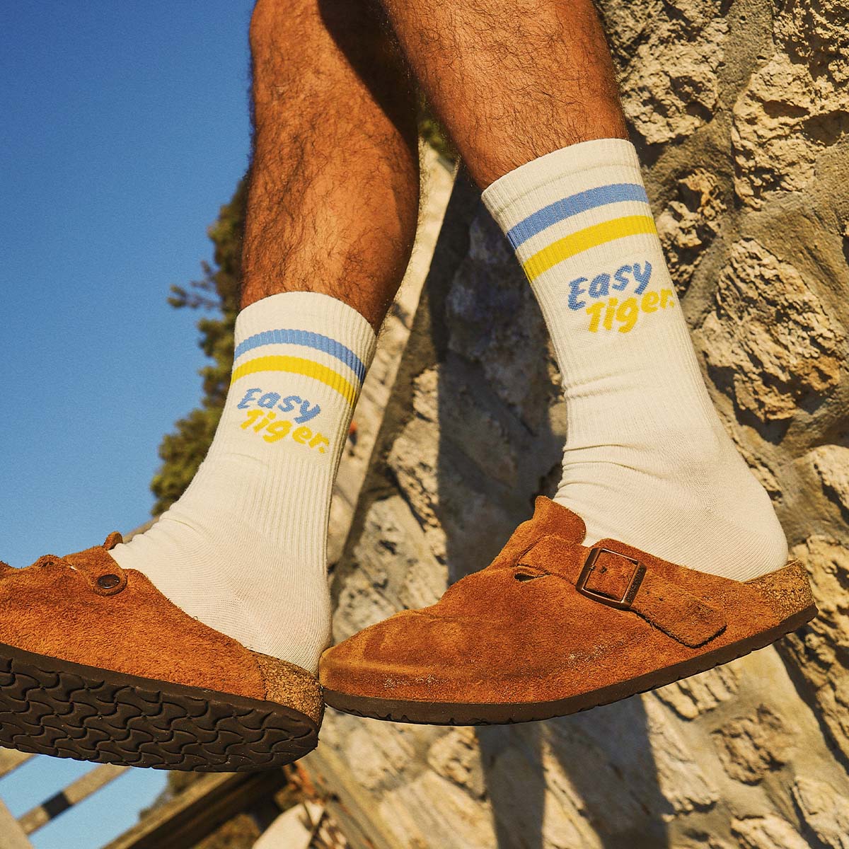 Easy Tiger Socks in Multi Stripe