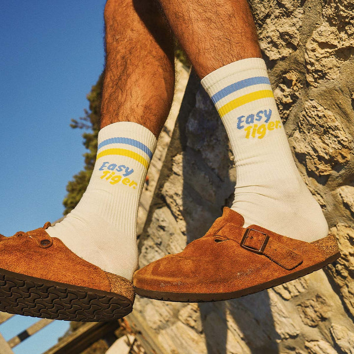 Easy Tiger Socks in Multi Stripe
