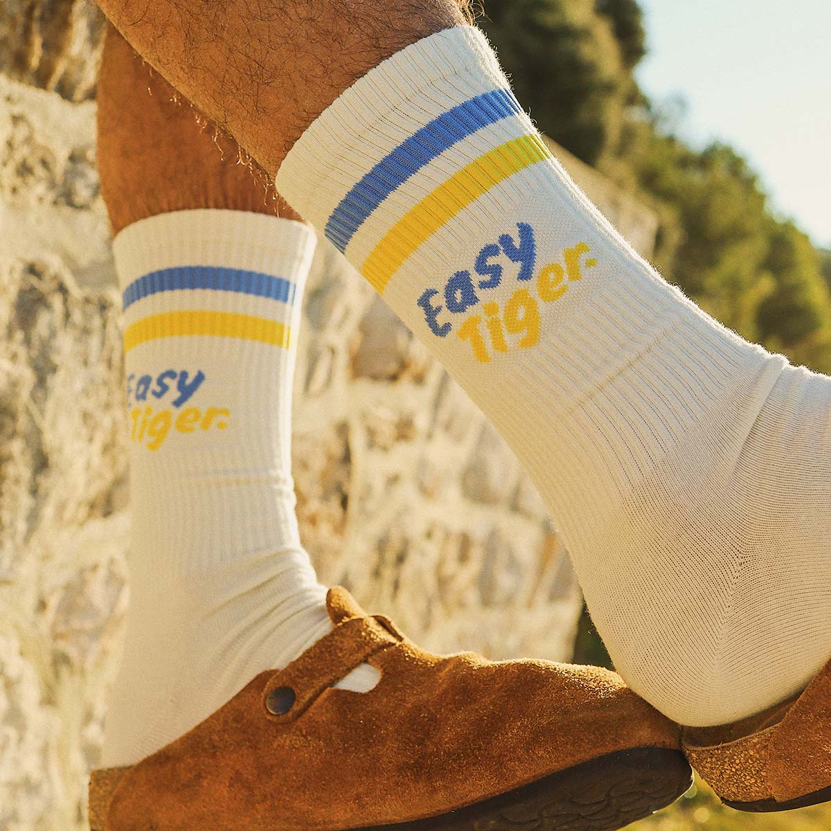 Easy Tiger Socks in Multi Stripe